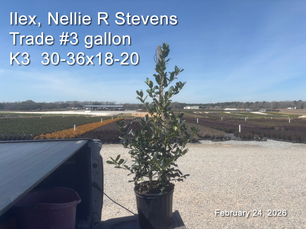 gallery/nrs3t k3 feb24.jpg